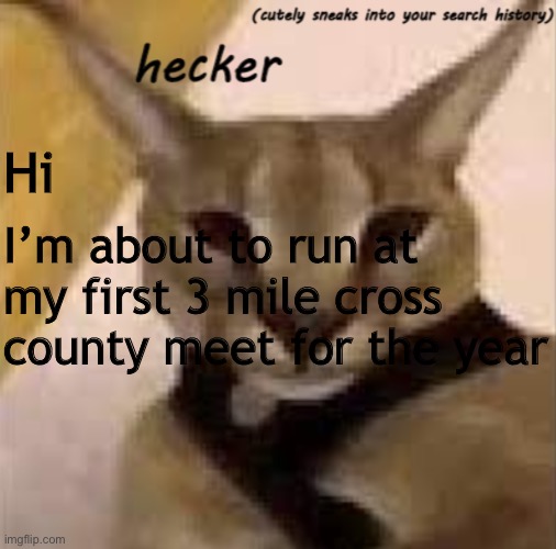 I think I’m ready | Hi; I’m about to run at my first 3 mile cross county meet for the year | image tagged in hecker template | made w/ Imgflip meme maker