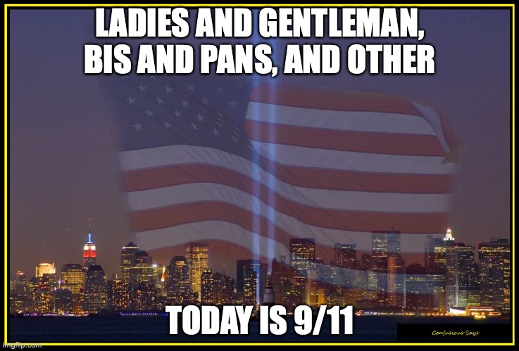 9/11 Memorial  | LADIES AND GENTLEMAN, BIS AND PANS, AND OTHER; TODAY IS 9/11 | image tagged in 9/11 memorial | made w/ Imgflip meme maker