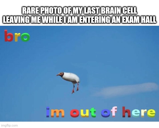 brain cells always betray you during the important moment | RARE PHOTO OF MY LAST BRAIN CELL LEAVING ME WHILE I AM ENTERING AN EXAM HALL | image tagged in bro i'm out of here | made w/ Imgflip meme maker