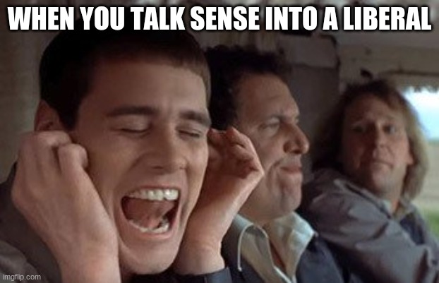 Dumb and dumber plugging ears | WHEN YOU TALK SENSE INTO A LIBERAL | image tagged in dumb and dumber plugging ears | made w/ Imgflip meme maker