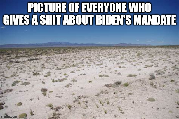 GFY Joe | image tagged in gfy biden | made w/ Imgflip meme maker