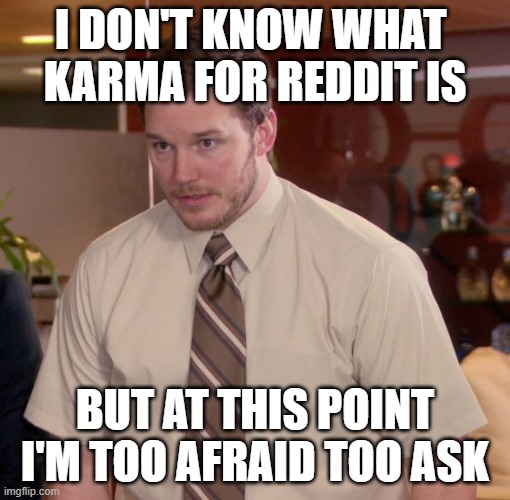 Don't Hate | I DON'T KNOW WHAT 
KARMA FOR REDDIT IS; BUT AT THIS POINT I'M TOO AFRAID TOO ASK | image tagged in reddit | made w/ Imgflip meme maker