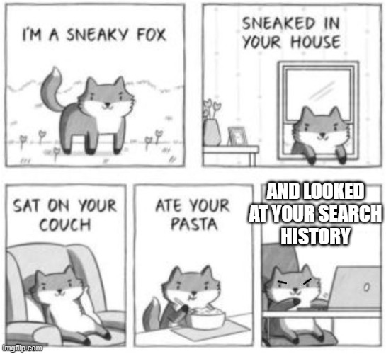 he knows.. | AND LOOKED AT YOUR SEARCH
HISTORY | image tagged in sneaky fox | made w/ Imgflip meme maker