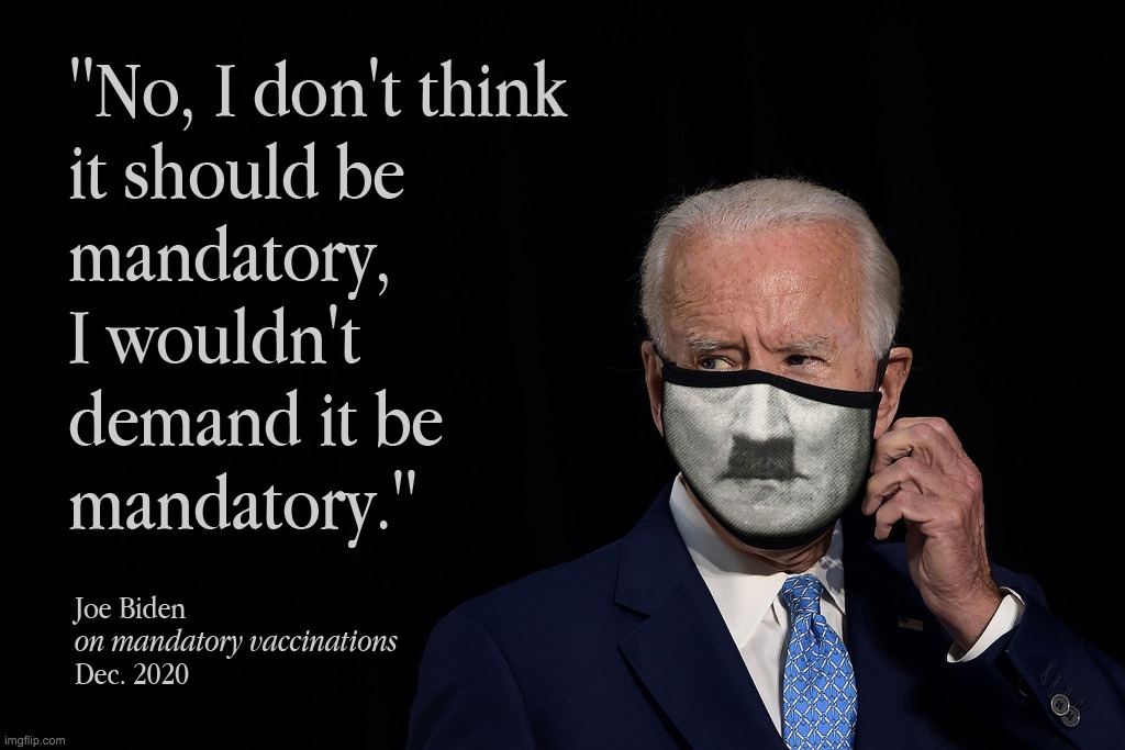 Heil Biden | image tagged in covid-19,vaccines | made w/ Imgflip meme maker