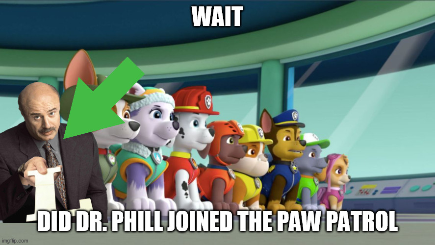 All 8 PAW Patrol Pups At The Lookout | WAIT; DID DR. PHILL JOINED THE PAW PATROL | image tagged in all 8 paw patrol pups at the lookout | made w/ Imgflip meme maker