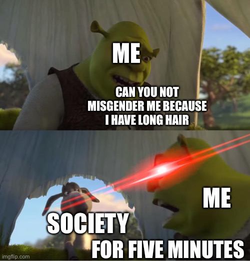 True story I always get misgendered because I have long hair and before anyone asks yes I am male | ME; CAN YOU NOT MISGENDER ME BECAUSE I HAVE LONG HAIR; ME; SOCIETY; FOR FIVE MINUTES | image tagged in memes,funny,shrek for five minutes | made w/ Imgflip meme maker