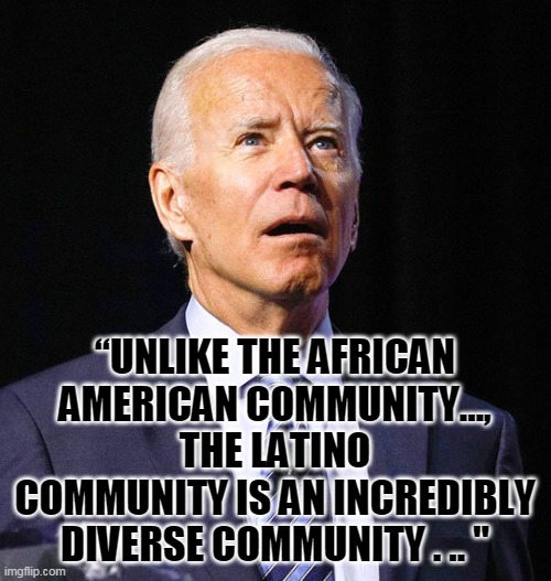 Joe Biden | “UNLIKE THE AFRICAN AMERICAN COMMUNITY..., THE LATINO COMMUNITY IS AN INCREDIBLY DIVERSE COMMUNITY . .. " | image tagged in joe biden | made w/ Imgflip meme maker