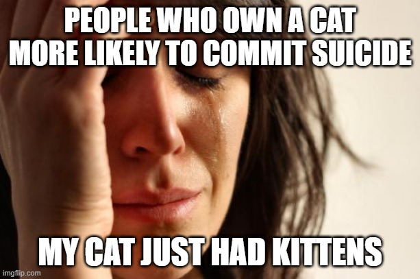 Do it meow | PEOPLE WHO OWN A CAT MORE LIKELY TO COMMIT SUICIDE; MY CAT JUST HAD KITTENS | image tagged in memes,first world problems,tomoliver | made w/ Imgflip meme maker