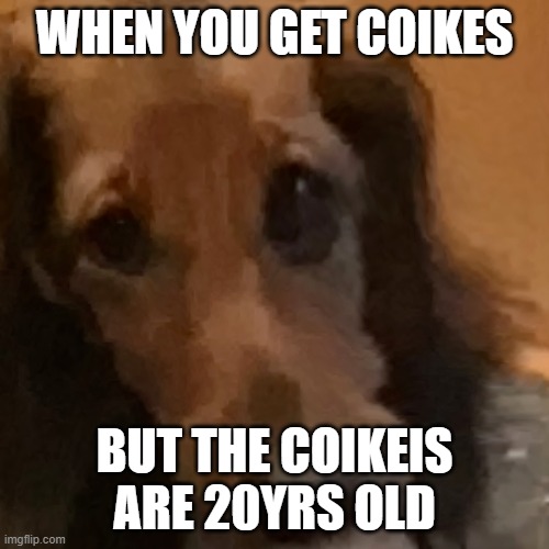 cokeis | WHEN YOU GET COIKES; BUT THE COIKEIS ARE 20YRS OLD | image tagged in doge | made w/ Imgflip meme maker