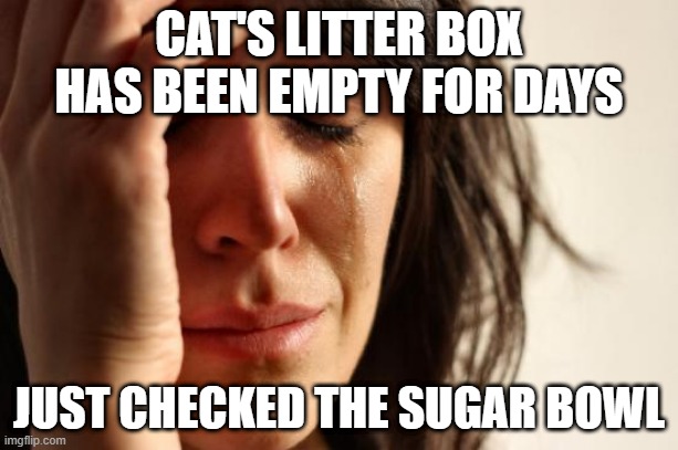 Litterally | CAT'S LITTER BOX HAS BEEN EMPTY FOR DAYS; JUST CHECKED THE SUGAR BOWL | image tagged in memes,first world problems,tomoliver | made w/ Imgflip meme maker