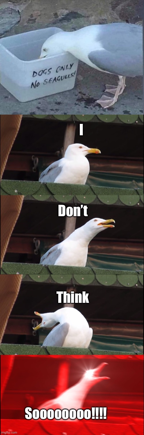 Like a boss | I; Don’t; Think; Soooooooo!!!! | image tagged in memes,inhaling seagull,stupid memes | made w/ Imgflip meme maker