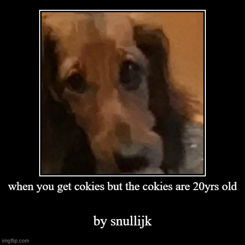 cokies | image tagged in funny,demotivationals | made w/ Imgflip demotivational maker