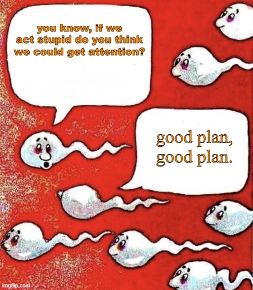 so, we going stupid or not? | you know, if we act stupid do you think we could get attention? good plan, good plan. | image tagged in sperm talk | made w/ Imgflip meme maker