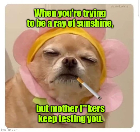 Okay. We can be friends. |  When you're trying to be a ray of sunshine, but mother f**kers keep testing you. | image tagged in ray of sunshine,funny | made w/ Imgflip meme maker