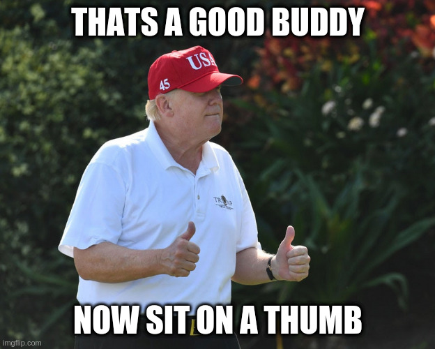What he really thinks when faux newbs fawns over his idiocy | THATS A GOOD BUDDY NOW SIT ON A THUMB | image tagged in bs rumpt,rich,man,foibles,not,vanilla | made w/ Imgflip meme maker