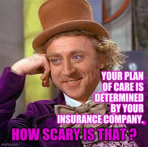 There's No Going Back Now |  YOUR PLAN OF CARE IS DETERMINED BY YOUR INSURANCE COMPANY. . HOW SCARY IS THAT ? | image tagged in memes,creepy condescending wonka,assholes,greed,selfishness,health insurance | made w/ Imgflip meme maker