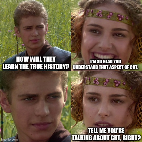 Anakin Padme True History CRT | HOW WILL THEY LEARN THE TRUE HISTORY? I'M SO GLAD YOU UNDERSTAND THAT ASPECT OF CRT. TELL ME YOU'RE TALKING ABOUT CRT, RIGHT? | image tagged in anakin padme 4 panel | made w/ Imgflip meme maker