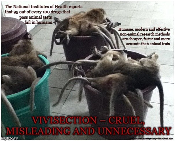 Vivisection |  Humane, modern and effective 
non-animal research methods 
are cheaper, faster and more 
accurate than animal tests; Discarded dead monkeys dumped in rubbish bins | image tagged in vegan,science,pseudoscience,lab,experiment,medical | made w/ Imgflip meme maker