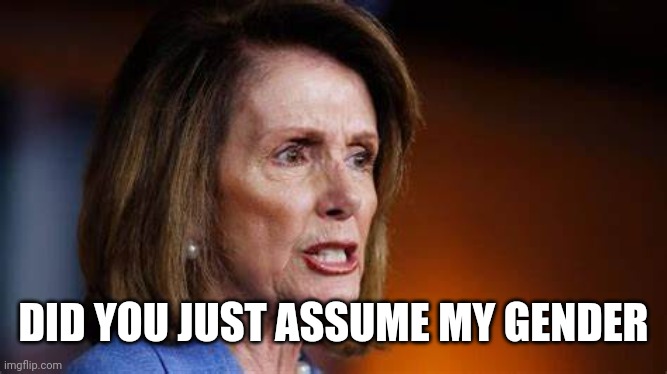 Angry Nancy Pelosi | DID YOU JUST ASSUME MY GENDER | image tagged in angry nancy pelosi | made w/ Imgflip meme maker