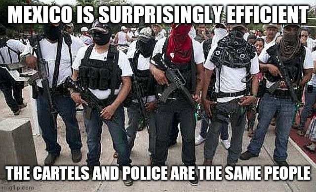 Truth #5743.  Never assume the Mexican police are looking out for you. | MEXICO IS SURPRISINGLY EFFICIENT; THE CARTELS AND POLICE ARE THE SAME PEOPLE | image tagged in ask the cartel,police,mexico,build a wall,you can't handle the truth | made w/ Imgflip meme maker