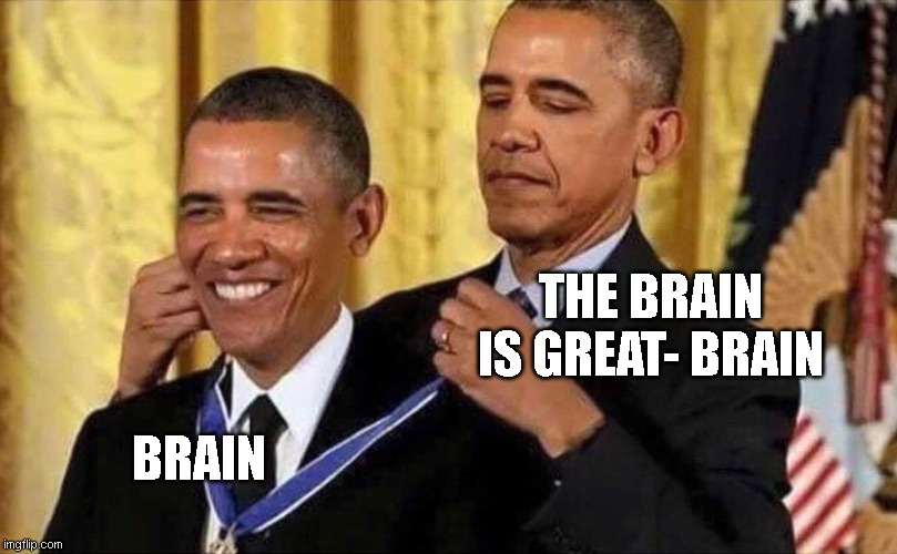 obama medal | THE BRAIN IS GREAT- BRAIN; BRAIN | image tagged in obama medal | made w/ Imgflip meme maker