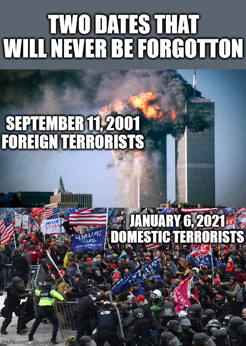 Terrorism will never suppress the American spirit. | TWO DATES THAT WILL NEVER BE FORGOTTON; SEPTEMBER 11, 2001
FOREIGN TERRORISTS; JANUARY 6, 2021
DOMESTIC TERRORISTS | image tagged in terrorism,trumpism,bin laden,obama | made w/ Imgflip meme maker