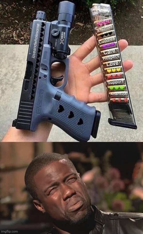 HEARTS ON A GUN? | image tagged in what the fuck,guns,gun,firearms | made w/ Imgflip meme maker