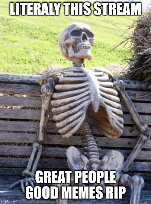 Waiting Skeleton |  LITERALY THIS STREAM; GREAT PEOPLE GOOD MEMES RIP | image tagged in memes,waiting skeleton | made w/ Imgflip meme maker