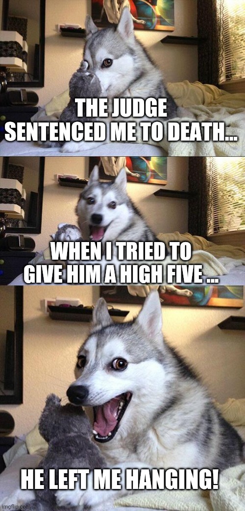 Dark joke... Lmao |  THE JUDGE SENTENCED ME TO DEATH... WHEN I TRIED TO GIVE HIM A HIGH FIVE ... HE LEFT ME HANGING! | image tagged in memes,bad pun dog,dark humor | made w/ Imgflip meme maker