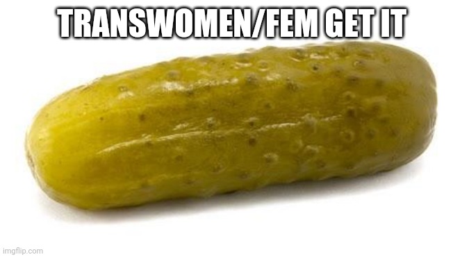 Pickle | TRANSWOMEN/FEM GET IT | image tagged in pickle | made w/ Imgflip meme maker