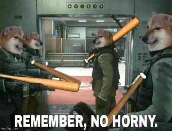 Remember, no horny. | image tagged in remember no horny | made w/ Imgflip meme maker