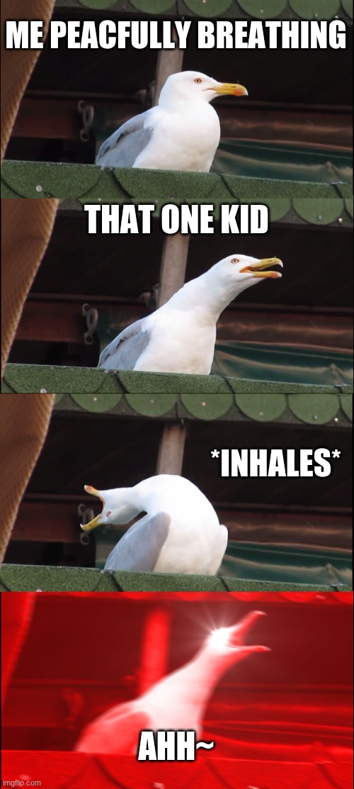 Inhaling Seagull | ME PEACFULLY BREATHING; THAT ONE KID; *INHALES*; AHH~ | image tagged in memes,inhaling seagull | made w/ Imgflip meme maker