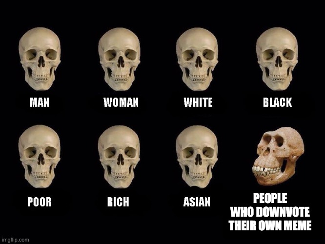empty skulls of truth | PEOPLE WHO DOWNVOTE THEIR OWN MEME | image tagged in empty skulls of truth | made w/ Imgflip meme maker