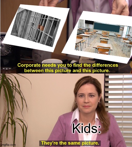 They're The Same Picture Meme | Kids: | image tagged in memes,they're the same picture | made w/ Imgflip meme maker