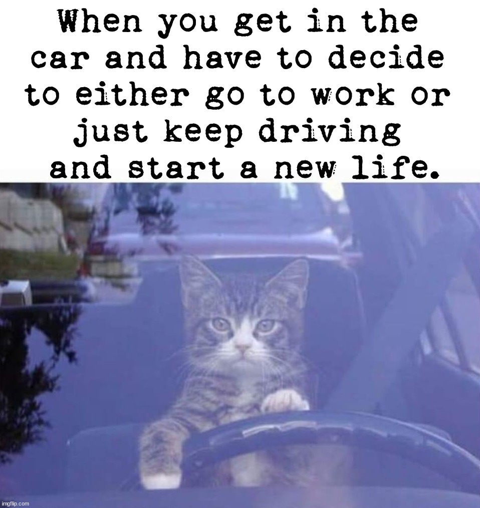 Each day I need to make a decision. |  When you get in the 
car and have to decide 
to either go to work or 
just keep driving 
and start a new life. | image tagged in decisions,work,life,hard choice to make | made w/ Imgflip meme maker
