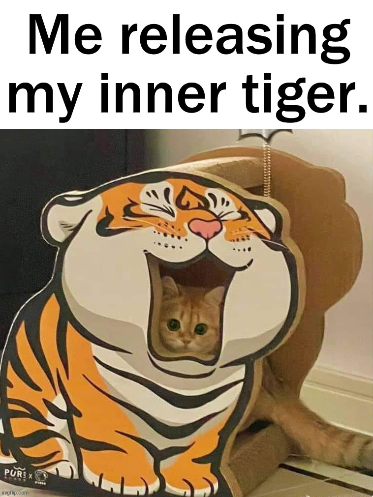 Not that mean.... | Me releasing my inner tiger. | image tagged in tiger,inside | made w/ Imgflip meme maker