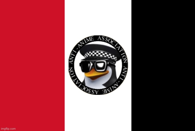 Official AAA flag | image tagged in aaa flag | made w/ Imgflip meme maker
