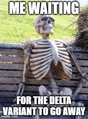 Waiting Skeleton Meme | ME WAITING FOR THE DELTA VARIANT TO GO AWAY | image tagged in memes,waiting skeleton | made w/ Imgflip meme maker