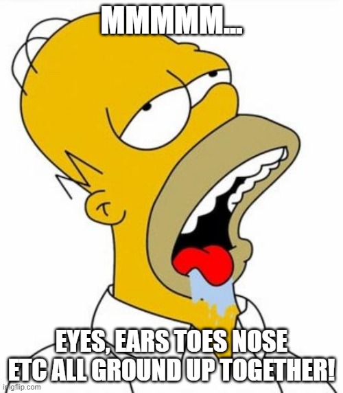 Homer Simpson MMM | MMMMM... EYES, EARS TOES NOSE ETC ALL GROUND UP TOGETHER! | image tagged in homer simpson mmm | made w/ Imgflip meme maker