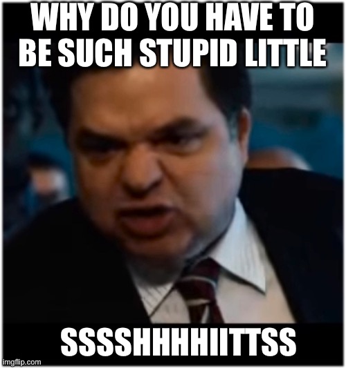 Idiots | WHY DO YOU HAVE TO BE SUCH STUPID LITTLE; SSSSHHHHIITTSS | image tagged in you stupid shit | made w/ Imgflip meme maker