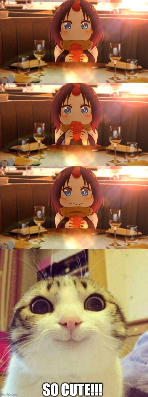 Elma is the best Dragon | SO CUTE!!! | image tagged in memes,smiling cat,waifu | made w/ Imgflip meme maker