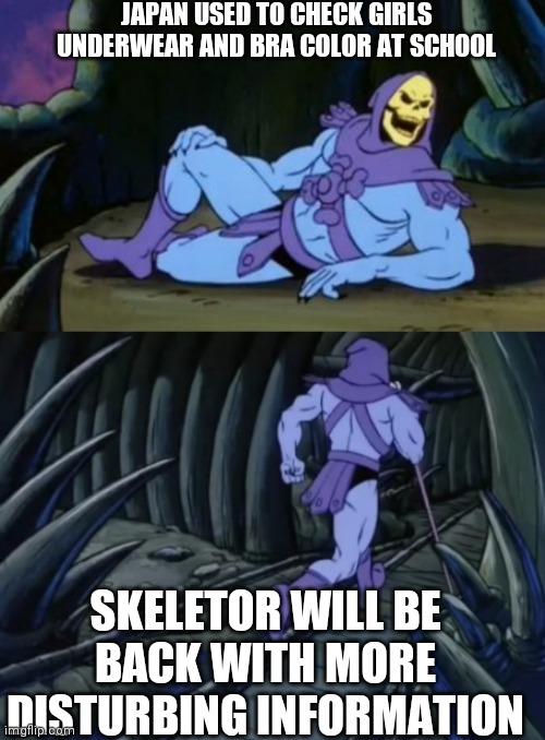 Disturbing Facts Skeletor | JAPAN USED TO CHECK GIRLS UNDERWEAR AND BRA COLOR AT SCHOOL; SKELETOR WILL BE BACK WITH MORE DISTURBING INFORMATION | image tagged in disturbing facts skeletor,japan,underwear | made w/ Imgflip meme maker