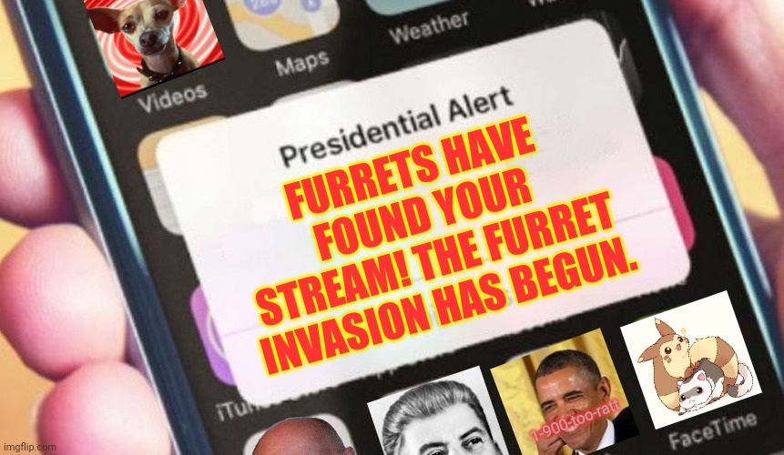 Uh oh! | FURRETS HAVE FOUND YOUR STREAM! THE FURRET INVASION HAS BEGUN. 1-900-too-ratt | image tagged in presidential alert,furret,invasion,dont worry the furret invasion,is a harmless joke,you will not actully be killed by furrets | made w/ Imgflip meme maker