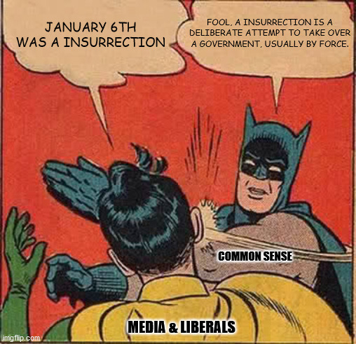 insurrection | FOOL, A INSURRECTION IS A DELIBERATE ATTEMPT TO TAKE OVER A GOVERNMENT, USUALLY BY FORCE. JANUARY 6TH WAS A INSURRECTION; COMMON SENSE; MEDIA & LIBERALS | image tagged in memes,batman slapping robin | made w/ Imgflip meme maker