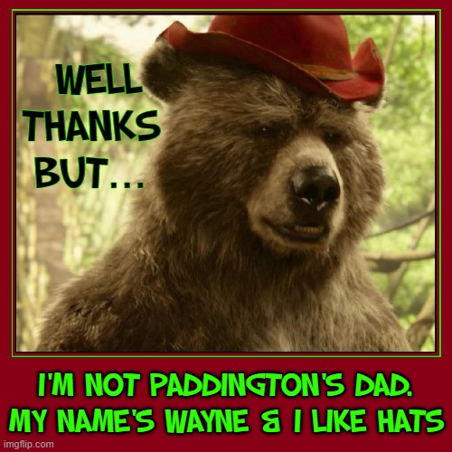 Conversation with Wayne, the Talking Bear | WELL 
THANKS
BUT... I'M NOT PADDINGTON'S DAD.
MY NAME'S WAYNE & I LIKE HATS | image tagged in vince vance,confession bear,paddington bear,memes,funny animals,hats | made w/ Imgflip meme maker