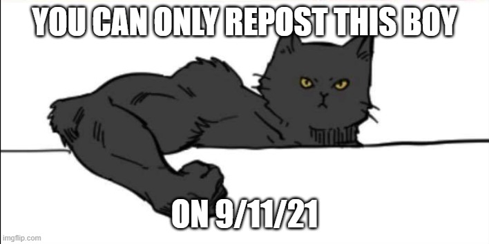 Buff cat | YOU CAN ONLY REPOST THIS BOY; ON 9/11/21 | image tagged in buff cat | made w/ Imgflip meme maker