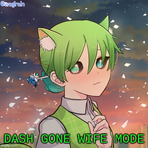 dash is a wife now |  DASH GONE WIFE MODE | image tagged in wife | made w/ Imgflip meme maker