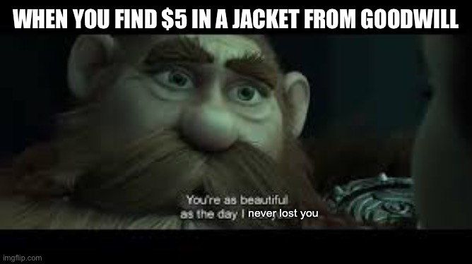 You're as beautiful as the day i lost you | WHEN YOU FIND $5 IN A JACKET FROM GOODWILL; never lost you | image tagged in you're as beautiful as the day i lost you,money,memes,yay,barney will eat all of your delectable biscuits | made w/ Imgflip meme maker