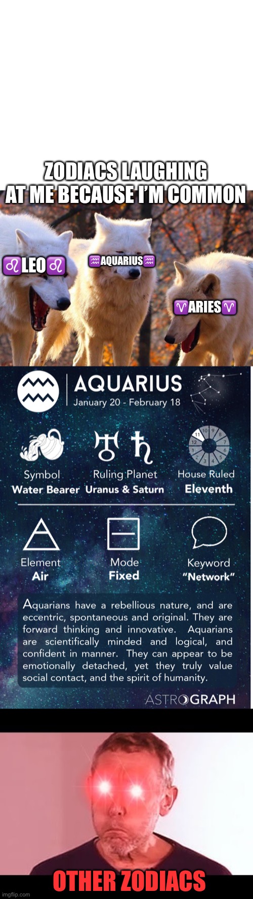 I have element of air | ZODIACS LAUGHING AT ME BECAUSE I’M COMMON; ♒️AQUARIUS♒️; ♌️LEO♌️; ♈️ARIES♈️; OTHER ZODIACS | image tagged in blank white template,2/3 wolves laugh,nani | made w/ Imgflip meme maker