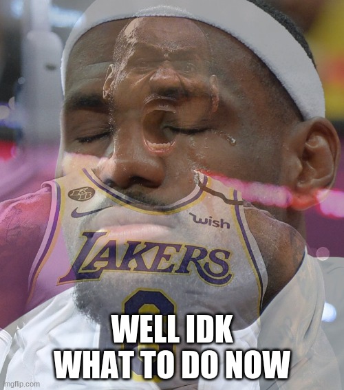 Crying LeBron James | WELL IDK WHAT TO DO NOW | image tagged in crying lebron james | made w/ Imgflip meme maker